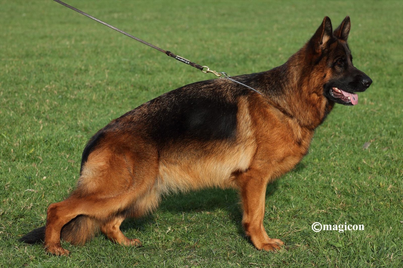 Belle Von Heinrichplatz