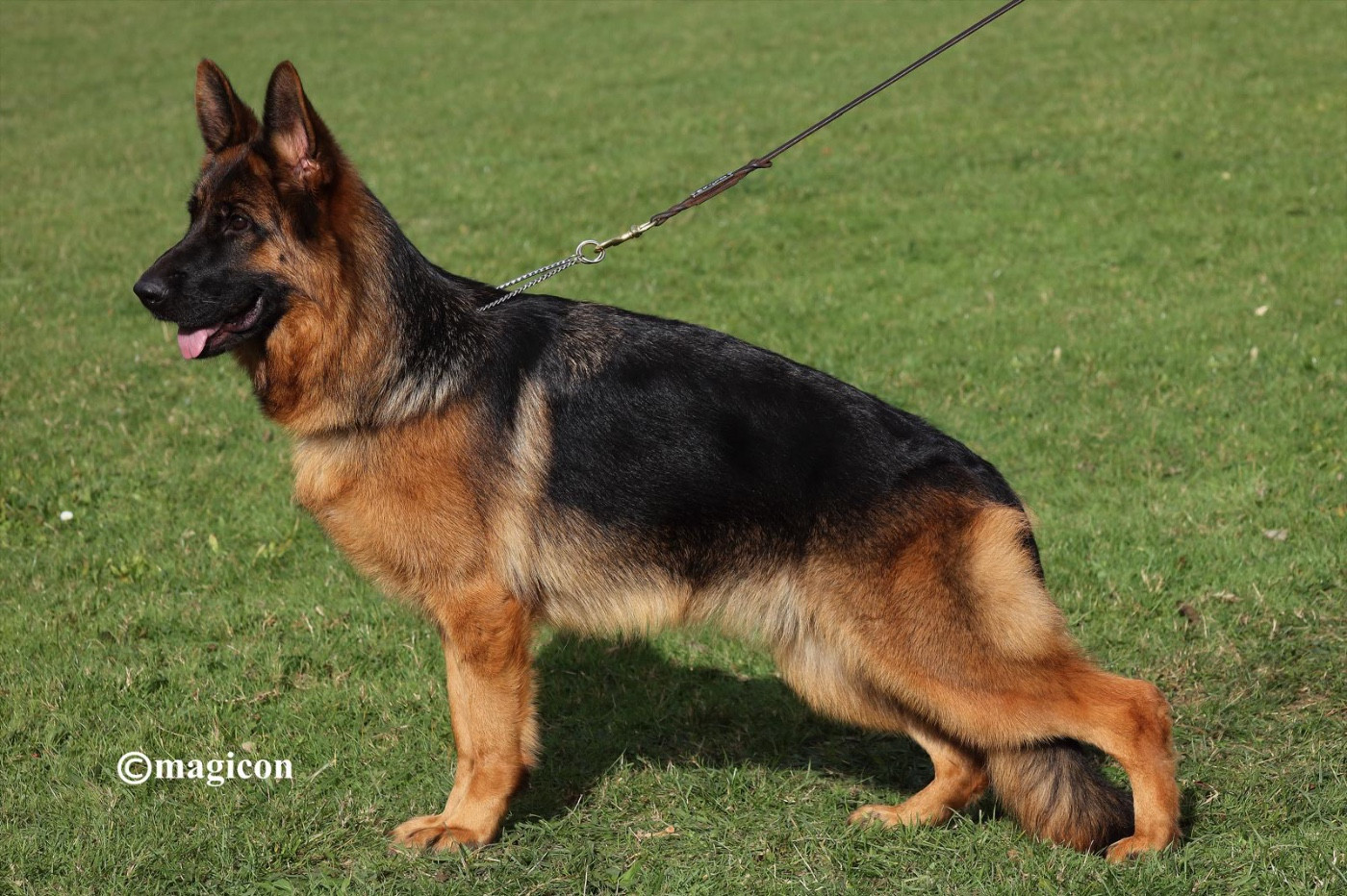 Venezia du val d'Anzin