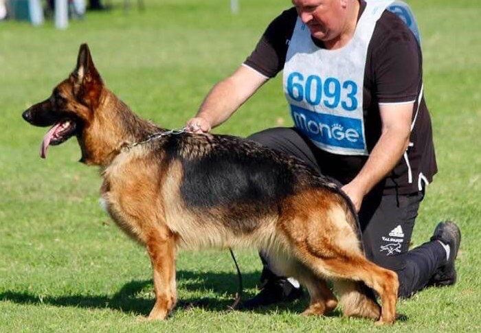 Ramdam du val d'Anzin