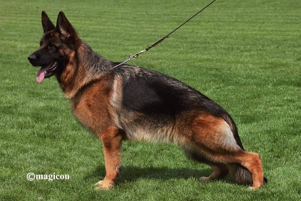 Phidjy du val d'Anzin